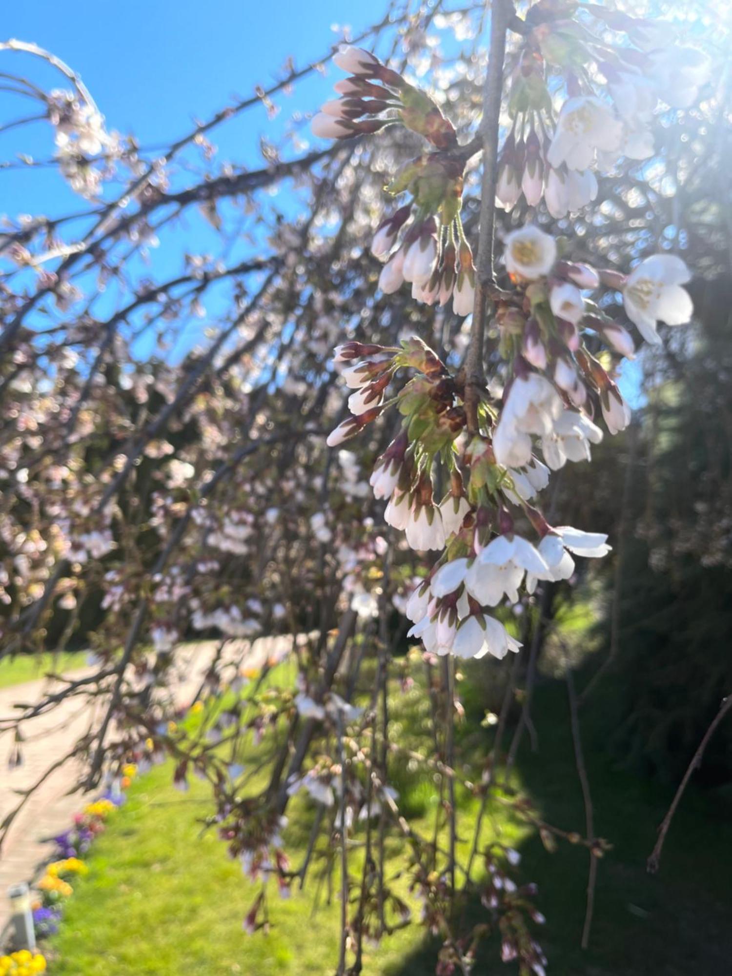 Gartenhof Bressanone Eksteriør billede