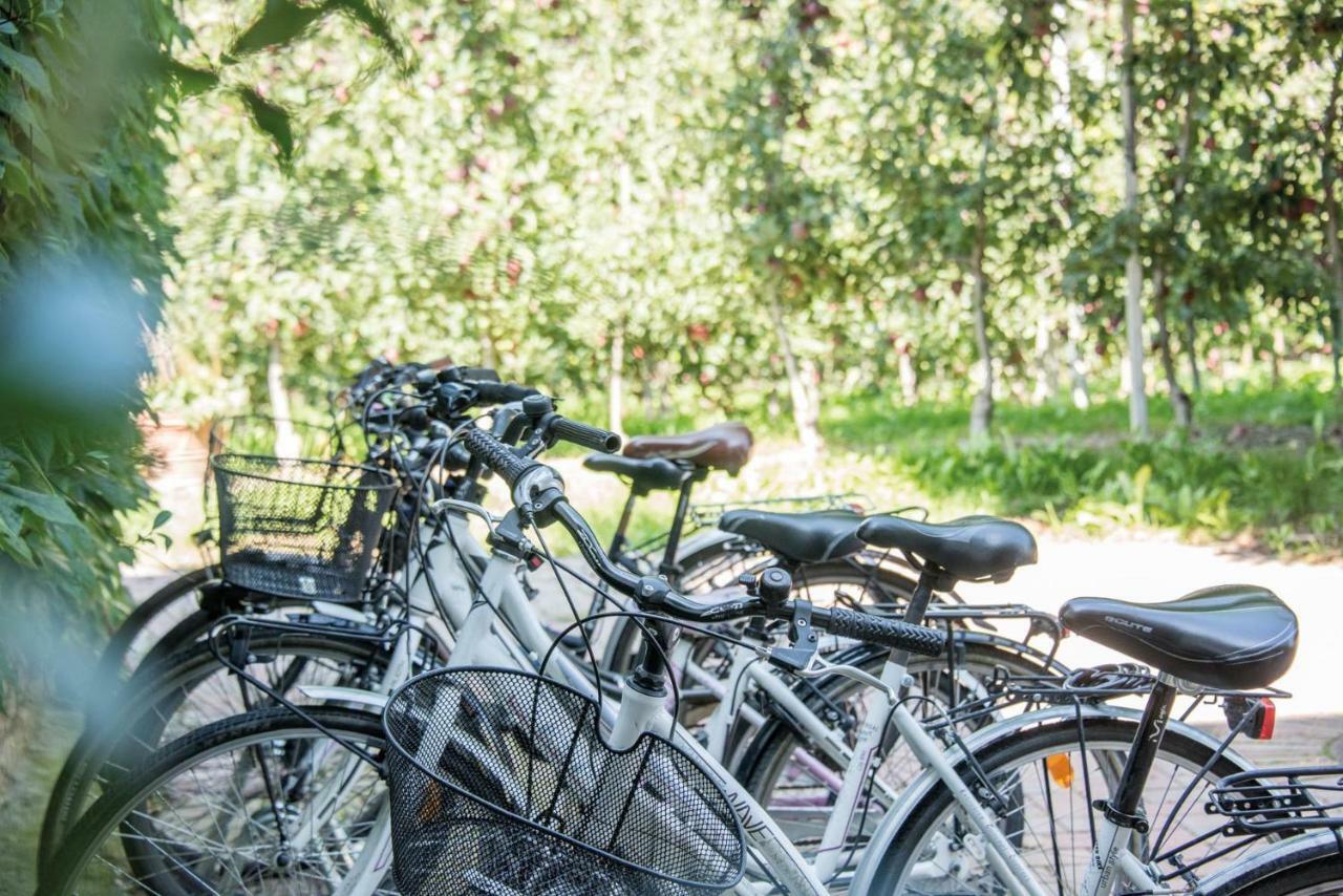 Gartenhof Bressanone Eksteriør billede